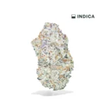 watermelon zkittlez strain